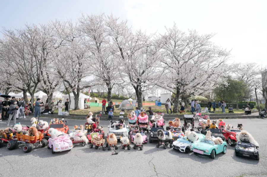 第5回ハウスティアフェス会場