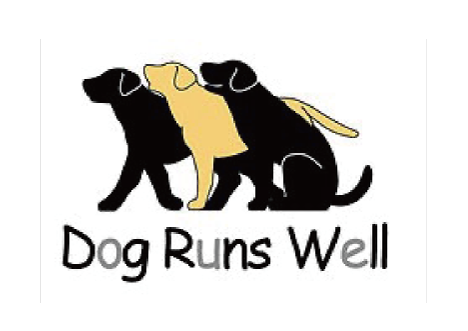 Dog Runs Well
