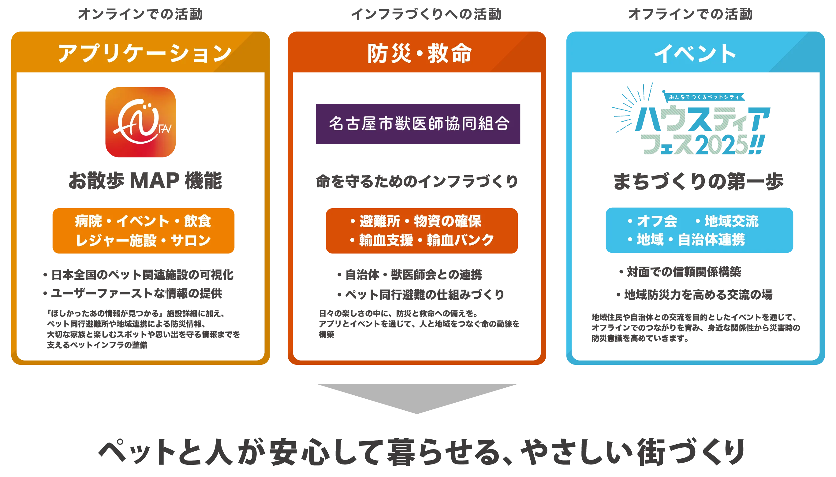 活動領域