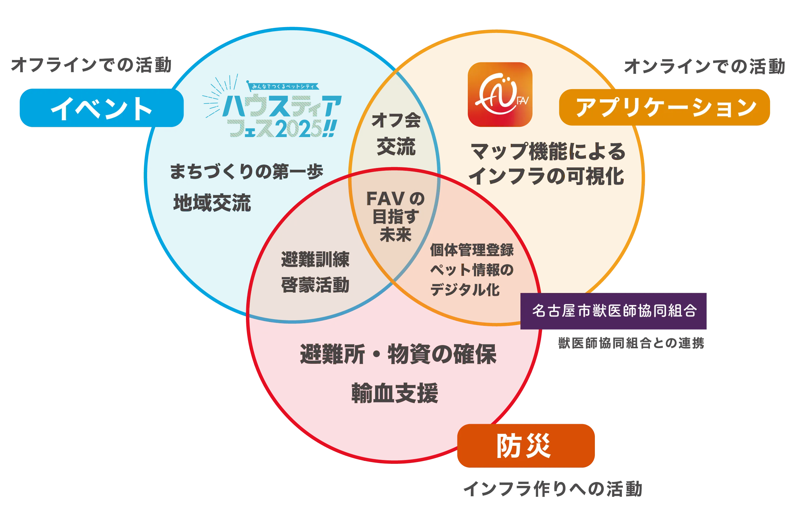 活動領域